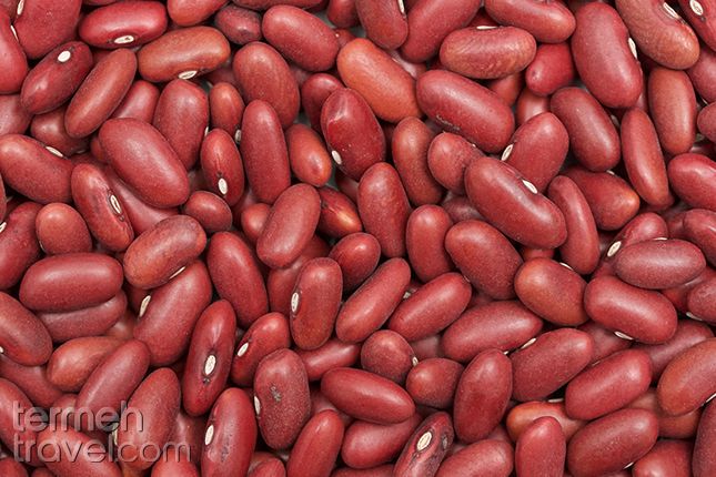 Beans for Ghormeh Sabzi | Termeh Travel