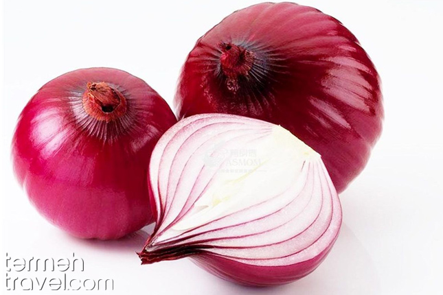Onion- Termeh Travel